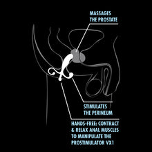 Load image into Gallery viewer, A diagram illustrating the blush Performance Prostimulator VX1 being inserted and product features: Massages the prostate: pointing to the prostate and the top tip of the product); Stimulates the perineum (pointing to the bottom side of the product); Hands-free: contract &amp; relax anal muscles to manipulate the Prostimulator VX1 (pointing to the bottom part of the product).